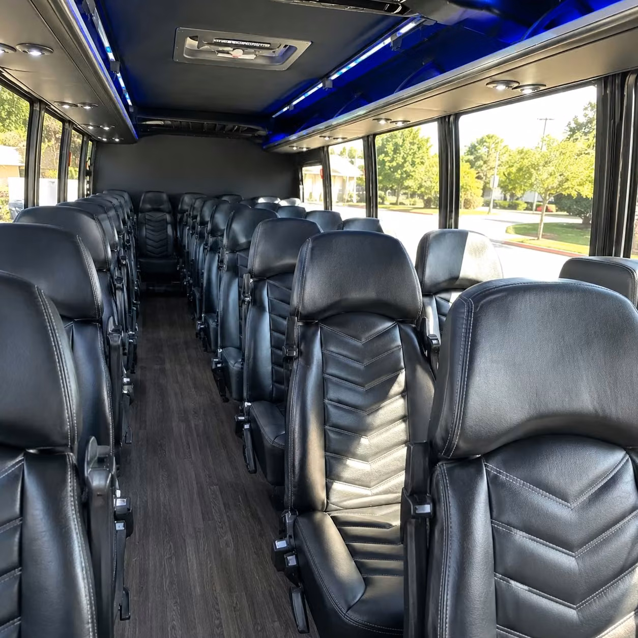 pearland long distance bus rentals